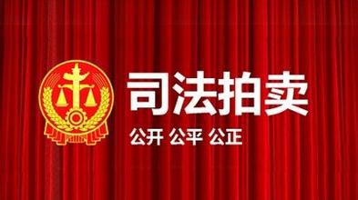 最高人民法院關(guān)于人民法院網(wǎng)絡(luò)司法拍賣若干問題的規(guī)定（山東）