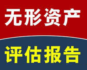 明信價格評估公司的無形資產評估服務項目有哪些？